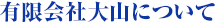 有限会社大山について